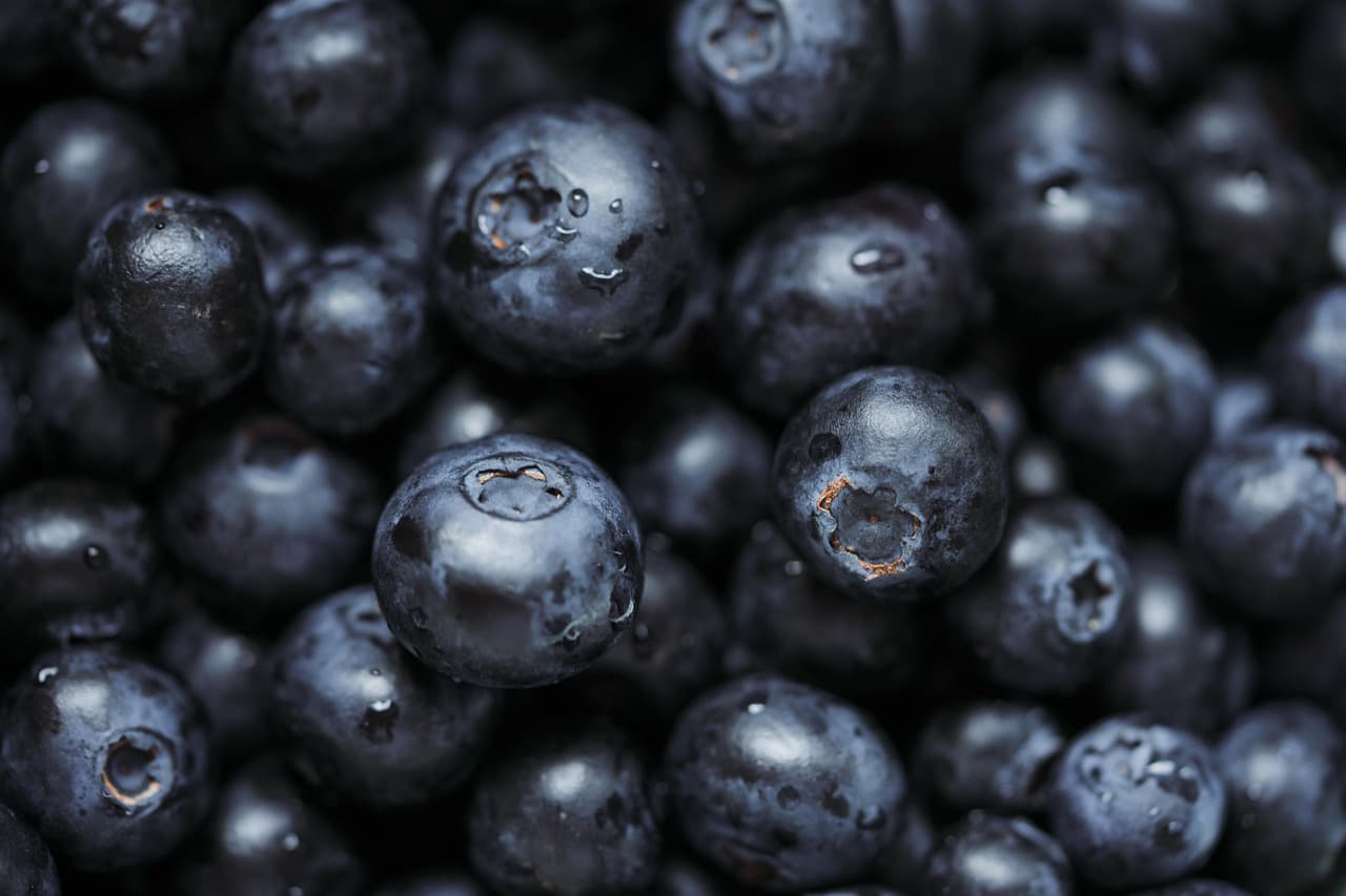 blueberries, vitamins, superfood, healthy, fresh, yummy, blueberries, blueberries, superfood, superfood, superfood, superfood, superfood [pid:7631751]