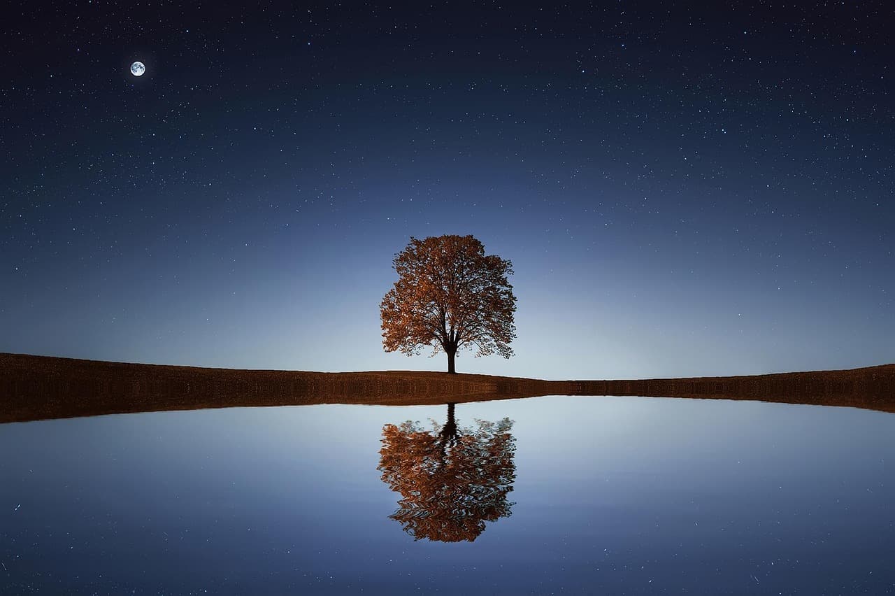 tree, lake, stars, reflection, water, calm, tranquil, nature, scene, night sky, beautiful [pid:838667][dark]